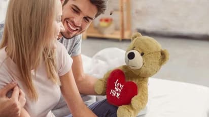 Teddy Day 2025 : டெடி பியர் பொம்மை கலருக்கும் அர்த்தம் உண்டு தெரியுமா? லவ்வருக்கு என்ன