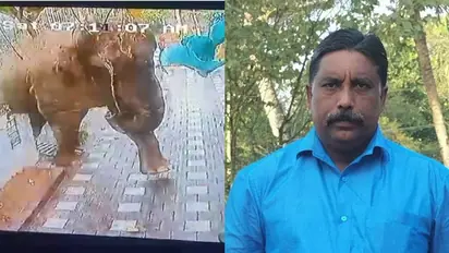 Kerala: Man killed in wild elephant attack in Wayanad