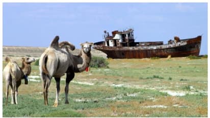 വെറും അമ്പത് വര്ഷം; അപ്രത്യക്ഷമായത് 68,000 സ്ക്വയർ കിലോമീറ്റര് വലിപ്പമുള്ള കടല് !