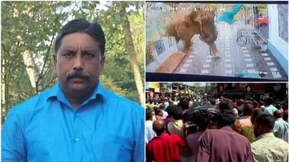 ಕಾಡಾನೆ ದಾಳಿಗೆ ಕೇರಳ ವ್ಯಕ್ತಿ ಬಲಿ , ಕರ್ನಾಟಕದಿಂದ 15 ಲಕ್ಷ ಪರಿಹಾರ! ದಾಳಿ ಮಾಡಿದ ಆನೆ ನಿಜವಾಗ್ಲೂ ನಮ್ಮ ರಾಜ್ಯದ್ದಾ?