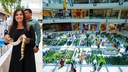 തിരുവനന്തപുരം ലുലുമാളിലൊരു ഉഗ്രൻ കാഴ്ചയുടെ വസന്തം, വേഗം വിട്ടാൽ കാണാം! ഇനി 2 ദിനം കൂടി അപൂർവ്വതകളുടെ പുഷ്പമേള