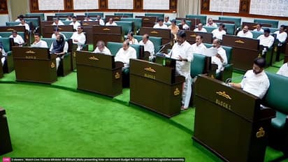 తెలంగాణ బడ్జెట్: రూ. 2 లక్షల పంట రుణమాఫీ, రైతు భరోసాపై కీలక ప్రకటన