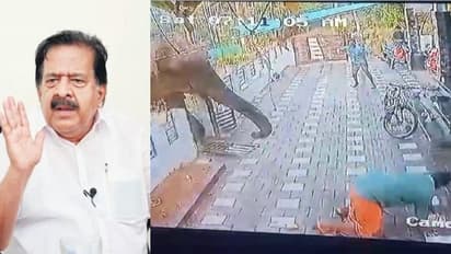 അജീഷിന്റെ കുടുംബത്തിന് 50 ലക്ഷം രൂപ നഷ്ടപരിഹാരവും, കുടുംബാംഗത്തിന് സർക്കാർ ജോലി നൽകണമെന്ന് രമേശ് ചെന്നിത്തല