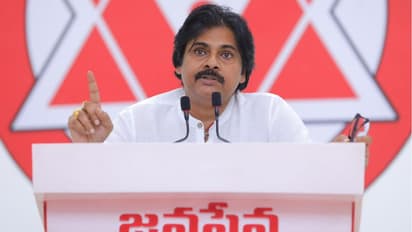 పిఠాపురం అసెంబ్లీ ఎన్నికల ఫలితాలు 2024