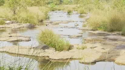 ಕೊಡಗಿನಲ್ಲಿ ಬತ್ತುತ್ತಿವೆ ನದಿ, ಅಂತರ್ಜಲ: ಬೇಸಿಗೆ ಆರಂಭಕ್ಕೂ ಮುನ್ನ ಕುಡಿಯುವ ನೀರಿಗೂ ಹಾಹಾಕಾರ..!