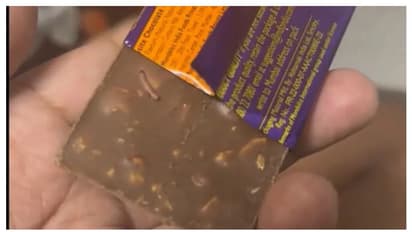 ഡെയറി മിൽക്ക് ചോക്ലേറ്റിൽ ജീവനുള്ള പുഴു! വീഡിയോ പങ്കുവെച്ച് യുവാവ്, മറുപടിയുമായി കാഡ്ബറി