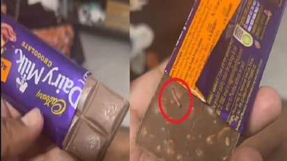 వామ్మో.. డెయిరీ మిల్క్ చాక్లెట్ లో బతికున్న పురుగు..వీడియో వైరల్, స్పందించిన క్యాడ్బరీ.