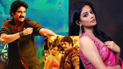 నాగార్జునకు 14 ఏళ్ళకి గుర్తొచ్చిన ప్రియమణి..