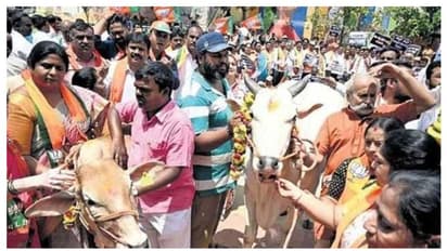 പശുക്കളോട് ക്രൂരത; ഒമ്പത് ബിജെപി നേതാക്കൾക്കതിരെ കേസെടുത്ത് പൊലീസ്