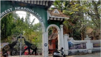 വന്യമൃഗശല്യം രൂക്ഷമായി തുടരവെ താൽക്കാലിക വാച്ചർമാരെ പിരിച്ചുവിടുന്നു