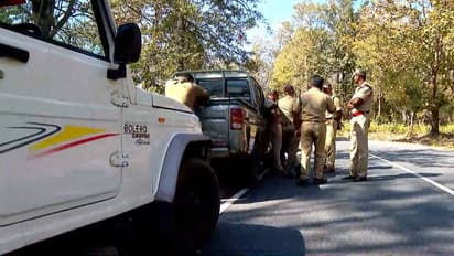 ബേലൂർ മഖ്ന ദൗത്യത്തിന് വെല്ലുവിളിയായത് മണ്ണുണ്ടിയിലെ കുറ്റിക്കാടുകൾ; ഭൂപ്രകൃതി മനസിലാക്കാനും പ്രയാസം