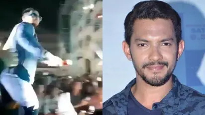 Singer Aditya Narayan hits fan with microphone; faces online flak for VIRAL video - WATCH