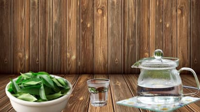 രാവിലെ വെറും വയറ്റില്‍ കറിവേപ്പിലയിട്ട വെള്ളം കുടിക്കൂ; അറിയാം ഈ ഗുണങ്ങള്‍... 