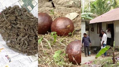 തൃപ്പൂണിത്തുറ സ്ഫോടനം; കരാറുകാരന്റെ ഗോഡൗണിൽ കഞ്ചാവ്, വൻ തോതിൽ സ്ഫോടക വസ്തുക്കളും കണ്ടെത്തി, പരിശോധന