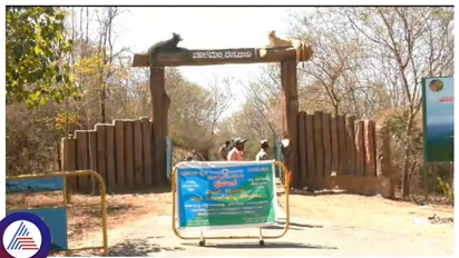 ಏಷ್ಯಾದಲ್ಲೇ‌ ಅತಿ ಹೆಚ್ಚು ಗಾಳಿ‌ ಬೀಸುವ, ರಾಜ್ಯದ ಪ್ರಸಿದ್ಧ ತಾಣ ಜೋಗಿಮಟ್ಟಿಗೆ ಪ್ರವಾಸಿಗರ ನಿರ್ಬಂಧ