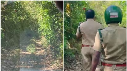 മാനന്തവാടിയിൽ ദൗത്യസംഘമിറങ്ങിയപ്പോൾ മുണ്ടക്കൈയിൽ അതാ മറ്റൊരു കൊമ്പൻ, പുൽപ്പള്ളിയിൽ കടുവ; ജീവിതം ഭയത്തിൽ തന്നെ!