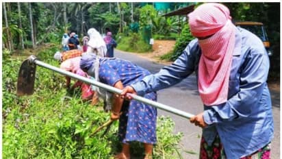 തൊഴിലുറപ്പിന് സാധനം വാങ്ങിയതായി വ്യാജ രസീത്; പഞ്ചായത്ത് സെക്രട്ടറിക്ക് 10 വര്ഷം തടവും 95,000 രൂപ പിഴയും