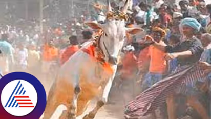 ಶಿವಮೊಗ್ಗ: ಹೋರಿ ಬೆದರಿಸುವ ಸ್ಪರ್ಧೆ ನೋಡುವ ವೇಳೆ ಗೂಳಿ ತಿವಿದು ವಿದ್ಯಾರ್ಥಿ ಸಾವು!