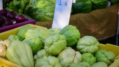 ചൗചൗ വാങ്ങി കഴിച്ചോളൂ; ഇതിനുള്ള ഗുണങ്ങളെ പറ്റി അറിയാം...