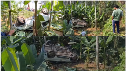കോഴിക്കോട് വാഴത്തോട്ടത്തിലേക്ക് ഇടിച്ചുകയറി ടാറ്റ നെക്സൺ, കാർ തലകീഴായ് മറിഞ്ഞ് അപകടം