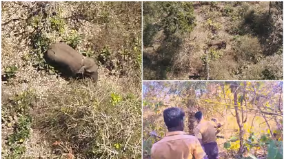 ബേലൂർ മഖ്ന ദൗത്യം; നവാബ് അലി ഖാൻ വയനാട്ടിൽ, ദൗത്യ സംഘത്തിനൊപ്പം ചേരുമെന്ന് വനംവകുപ്പ്