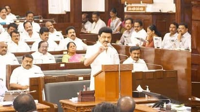 சாதி வாரி கணக்கெடுப்புக்கு நாங்கள் எதிரானவர்கள் அல்ல.. சாதகமாகத்தான் செயல்படுகிறோம்- மு.க. ஸ்டாலின் 