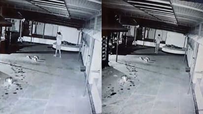 ഓടിളക്കാൻ കമ്പി ചൂൽ, കൊടുവാളുകൊണ്ട് തകർത്തത് 3 കാണിക്ക വഞ്ചി, തൃപ്പൂരട്ടക്കാവ്  ക്ഷേത്രത്തിൽ വീണ്ടും കവർച്ച