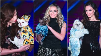 പട്ടികളെയും കൊണ്ട് റാമ്പില് സുന്ദരിമാര്; ഇത് 'വറൈറ്റി' ഫാഷൻ ഷോ....