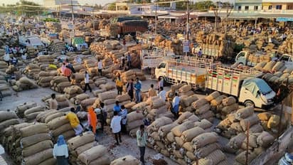 ಹಾವೇರಿ: ಬ್ಯಾಡಗಿ ಮಾರುಕಟ್ಟೆಗೆ ದಾಖಲೆ 3.34 ಲಕ್ಷ ಚೀಲ ಒಣ ಮೆಣಸಿನಕಾಯಿ..!