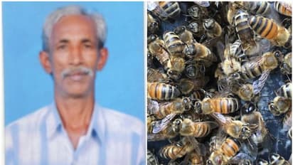 തേനീച്ചയുടെ കുത്തേറ്റ് ആശുപത്രിയിൽ പ്രവേശിപ്പിച്ചയാൾ മരിച്ചു