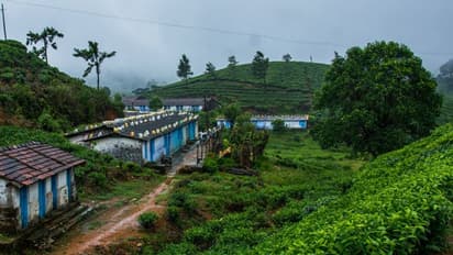 மாஞ்சோலை சூழல் சுற்றுலா போக ரெடியா? இந்த நிபந்தனைகளுடன் இன்று முதல் அனுமதி..!