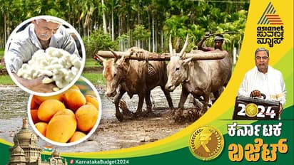 ಕರ್ನಾಟಕ ಬಜೆಟ್ 2024: ಕೃಷಿ ಸಂಬಂಧಿತ ಎಲ್ಲ ಇಲಾಖೆಗಳ ಸಮನ್ವಯಕ್ಕೆ'ಕೃಷಿ ಅಭಿವೃದ್ಧಿ ಪ್ರಾಧಿಕಾರ' ರಚನೆ