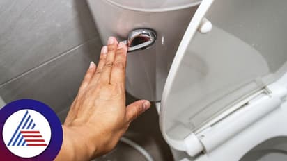 Health Tips: ಕಮೋಡ್ ಮುಚ್ಚಳ ಮುಚ್ಚದೇ ಫ್ಲಶ್ ಮಾಡ್ಬೇಡಿ