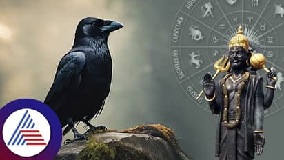 ಕರ್ಮವನ್ನು ಕೊಡುವ ಶನಿಯು ಫೆಬ್ರವರಿಯಲ್ಲಿ ಅಸ್ತಮಿಸುತ್ತಾನೆ, ಈ 3 ರಾಶಿಗೆ ಅದೃಷ್ಟ, ಪ್ರಗತಿ, ಹಣ  