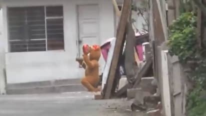 പ്രണയസമ്മാനങ്ങളുമായി വന്ന ടെഡ്ഡി ബിയർ ചതിച്ചു മോനേ, മയക്കുമരുന്ന് ഡീലറായ സ്ത്രീ കുടുങ്ങിയ കുടുങ്ങല്