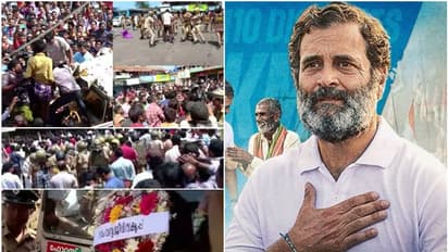 വയനാടൻ ജനരോഷം ദേശീയ ശ്രദ്ധയിലേക്ക്; ഒപ്പം ചേരാൻ എംപി, ജോഡോ യാത്ര നിർത്തിവച്ച് രാഹുൽ എത്തും, 'അടിയന്തര ആവശ്യം'