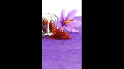 ಭಾರತದ ಕೇಸರಿಗೀಗ ಬಂಗಾರದ ದರ; 1 ಕೆಜಿ ಕೇಸರಿ ಬೆಲೆ 5 ಲಕ್ಷಕ್ಕೆ ಹತ್ತಿರ!