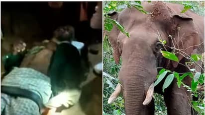Karnataka govt under fire for providing Rs 15 lakh financial aid to Kerala-based victim of elephant attack