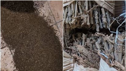 ഗോഡൗണിൽ മിന്നല് പരിശോധന; പിടികൂടിയത് 83 ടൺ പുകയില ഉൽപന്നങ്ങൾ