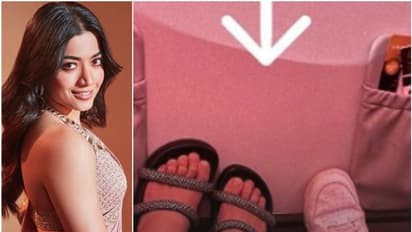 "മരണത്തിൽ നിന്ന് രക്ഷപ്പെട്ടത് ഇങ്ങനെയാണ്" രശ്മികയ്ക്കുണ്ടായത് ഞെട്ടിക്കുന്ന അനുഭവം.!