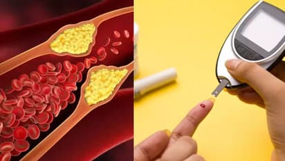 കൊളസ്ട്രോള്‍ കുറയ്ക്കാനും പ്രമേഹം കുറയ്ക്കാനും സഹായിക്കും ഈ സുഗന്ധവ്യജ്ഞനങ്ങൾ...