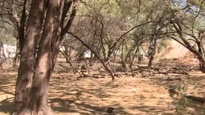 ನಕಲಿ‌ ದಾಖಲೆ ಸೃಷ್ಟಿಸಿ ಭೂಮಿ ಕಬಳಿಕೆ ಯತ್ನ: ಅಧಿಕಾರಿಗಳ ಕಣ್ಣಮುಚ್ಚಾಲೆ ಆಟಕ್ಕೆ ಪರದಾಡ್ತಿರೋ‌ ಮಹಿಳೆ!