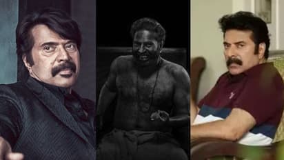 'ഇമേജിനെ ബാധിക്കുമോന്ന് മറ്റുള്ളവർ ചിന്തിക്കുന്ന കഥാപാത്രങ്ങൾ, മമ്മൂക്ക പുറംകാലിന് അടിച്ചോണ്ടിരിക്കയാണ്'