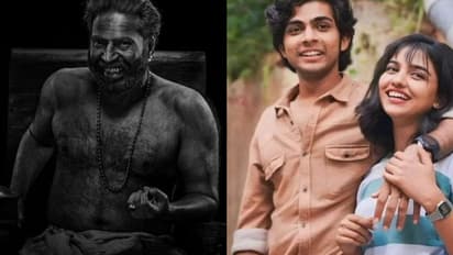 ഞായറാഴ്‍ച ഭ്രമയുഗത്തെ ഞെട്ടിച്ച് പ്രേമലു, ഇത് സര്‍പ്രൈസ് നേട്ടം, ആകെ നേടിയത്