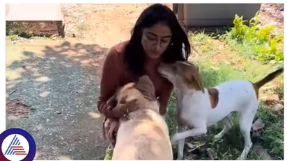 ಬಿಗ್ ಬಾಸ್ ಬಳಿಕ ಸಂಗೀತಾ-ಚಾರ್ಲಿ ಭೇಟಿ; ನೆಟ್ಟಿಗರು ಎಂತೆಂತಹ ಕಾಮೆಂಟ್ ಹಾಕ್ತಿದಾರೆ ನೋಡ್ರಿ!