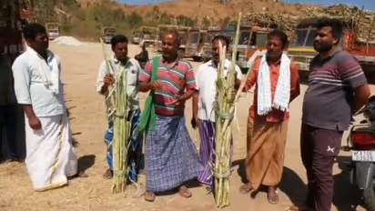 ಎಳೆ ಕಬ್ಬು ನುರಿಸಲು ಮುಂದಾಯ್ತು ಕಾರ್ಖಾನೆ: ಬಣ್ಣಾರಿ ಅಮ್ಮನ್ ಸಕ್ಕರೆ ಕಾರ್ಖಾನೆ ವಿರುದ್ಧ ರೈತರ ಆರೋಪ!