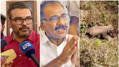 വന്യജീവി പ്രശ്നം ചർച്ച ചെയ്യാൻ മന്ത്രിസംഘം ഇന്ന് വയനാട്ടിൽ; യുഡിഎഫ് രാപ്പകൽ സമരത്തിനിടെ രാവിലെ സർവകക്ഷിയോഗം