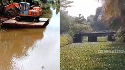 നാലരക്കോടി 'വെള്ളത്തിലായി';  കോലറയാറിൽ വീണ്ടും മാലിന്യം നിറഞ്ഞു, ഒഴുക്ക് നിലച്ച് നാശത്തിന്‍റെ വക്കിൽ