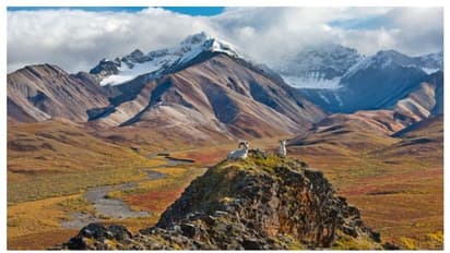 ഭൂമിക്കടിയില്‍ തിളച്ചുമറിയുന്ന മാഗ്മ തടാകം; അലാസ്കയില്‍ മറ്റൊരു അത്ഭുതമെന്ന് ഗവേഷകർ