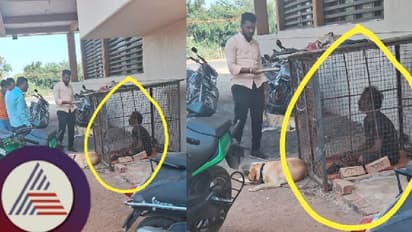 ಬಾರ್‌ನಲ್ಲಿದ್ದ ನಾಯಿ ಕದ್ದಿದ್ದಕ್ಕೆ ಕುಡುಕನನ್ನ ನಾಯಿಯಂತೆ ನಡೆಸಿಕೊಂಡ ಸಿಬ್ಬಂದಿ! 